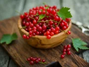 Groseille : des propriétés nutritionnelles et ses innombrables utilisations en cuisine !