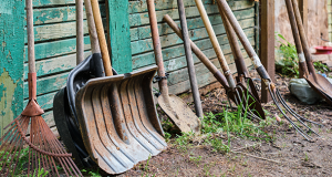 Pourquoi et comment nettoyer ses outils de jardin en fin de saison ?