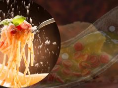 Cholestérol élevé : ce fromage méconnu et délicieux que vous pouvez intégrer partout dans votre alimentation !