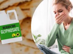 Les crackers remplis de glyphosate : un en-cas à oublier pour préserver notre santé