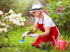 Les raisons scientifiques étonnantes pour se lancer dans le jardinage en 2023 : la nature à portée de main !