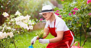 Les raisons scientifiques étonnantes pour se lancer dans le jardinage en 2023 : la nature à portée de main !