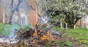 Peut-on brûler les déchets d'élagage ? Les alternatives écologiques et réglementations à connaître