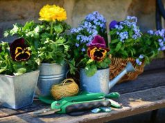 Prime verte 2018 : tout savoir sur ce qu'elle couvre