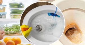 Toilette éclatante sans bicarbonate : découvrez l'ingrédient miracle pour la faire briller !