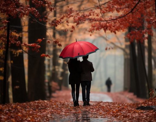 Analyse : Quelle est votre facette romantique ? Identifiez votre profil d'amoureux grâce à notre test !