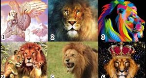 Évaluation de personnalité : Quel est le compagnon idéal dont votre existence requiert ?