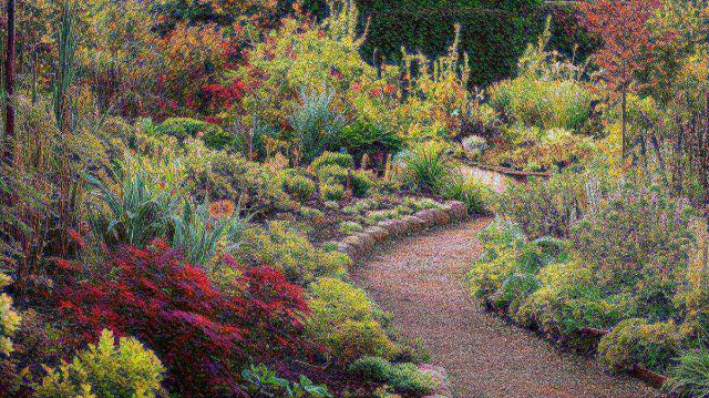 Voici les plantes médicinales à cultiver cet automne pour un jardin vivifiant!