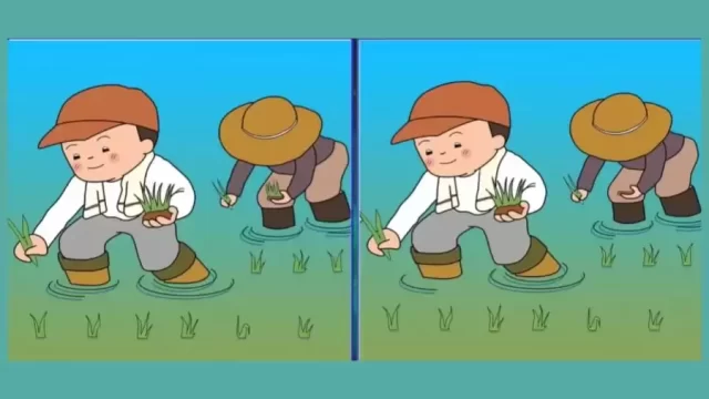 Défis